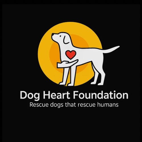 Dog Heart Foundation — Rescue dogs that rescue humans