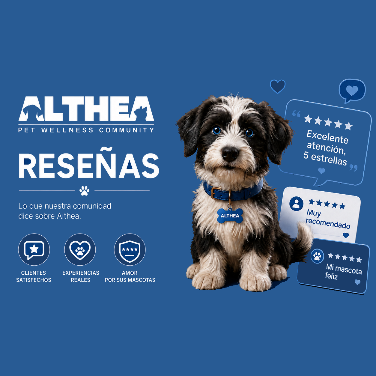 Reseñas Althea — lo que nuestra comunidad dice